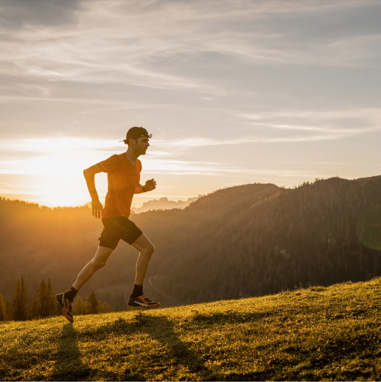 Training tracking