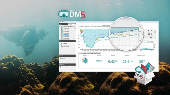 下载DM5