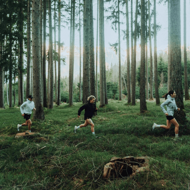 Training tracking